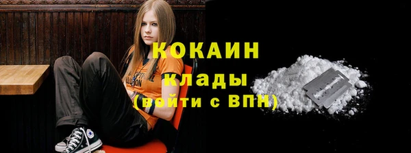 ECSTASY Богородск