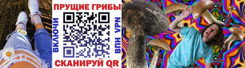 Псилоцибиновые грибы ЛСД  Горняк 